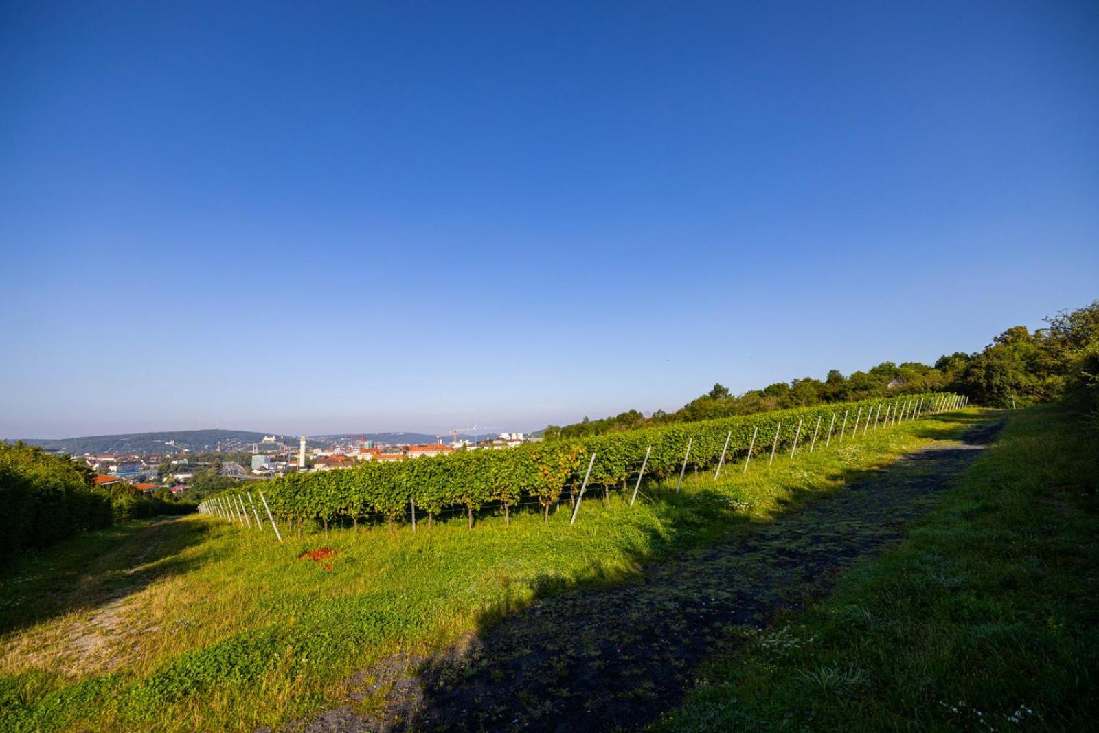Nettes Kleines Mit Stellplatz Würzburg